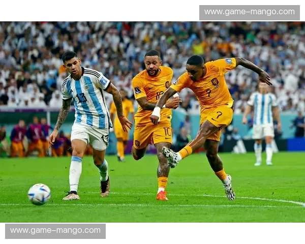 宿命对决：荷兰vs阿根廷，绿茵场上的史诗篇章